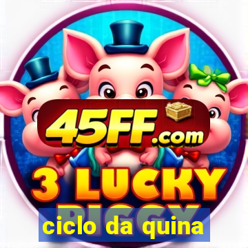 ciclo da quina